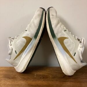 Nike Pegasus 40, men’s 10.5